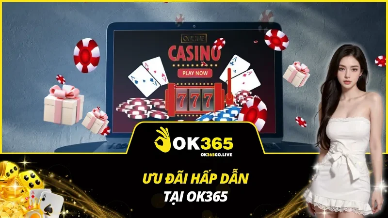 Phúc lợi cực đã mà OK365 dành cho cược thủ của mình