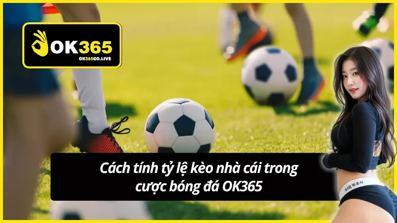 Cách tính tỷ lệ kèo trực tiếp OK365 mới nhất